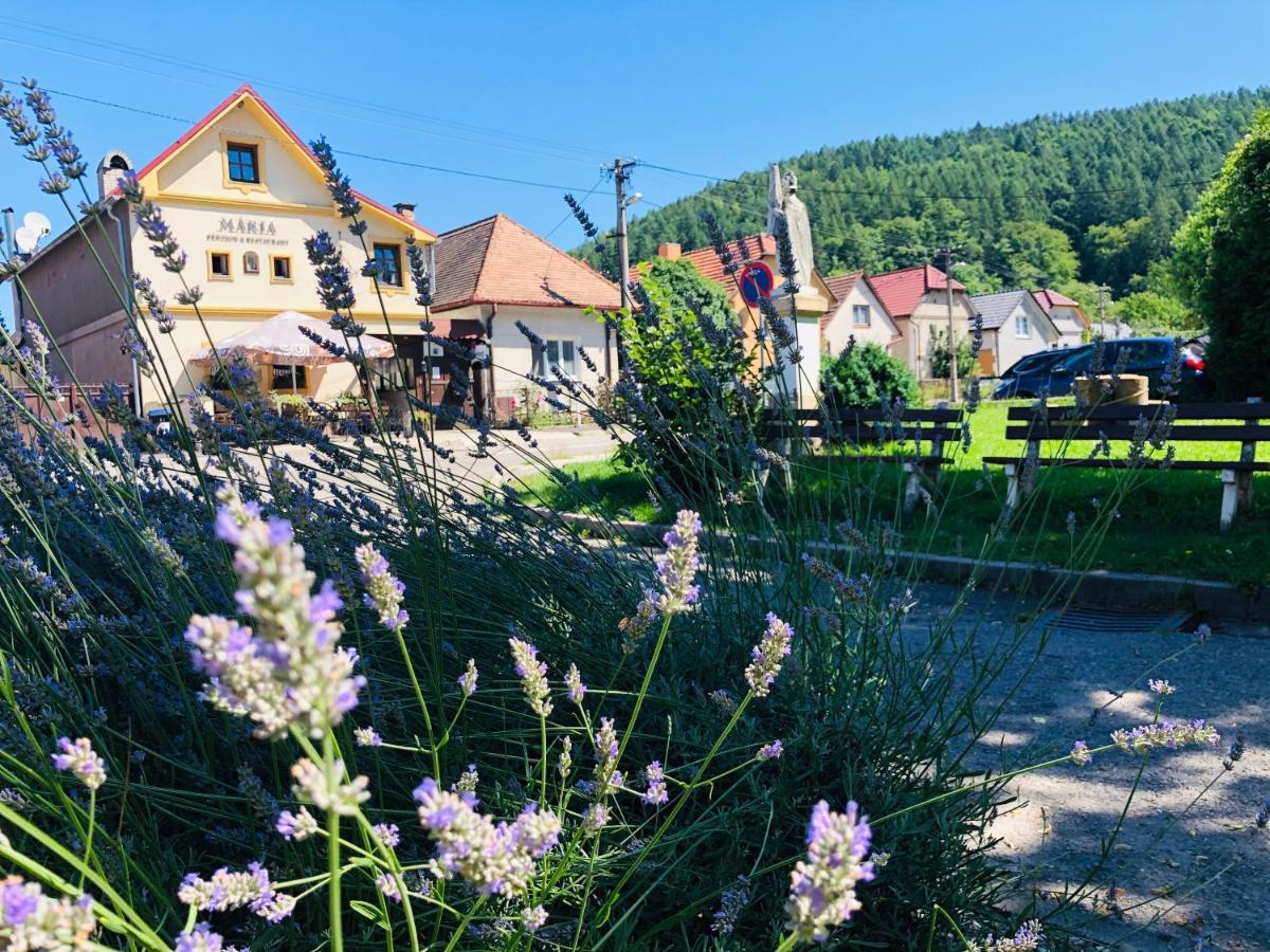 Maria Penzion & Restaurant Trenčín Extérieur photo