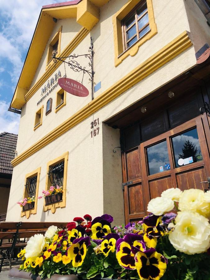 Maria Penzion & Restaurant Trenčín Extérieur photo